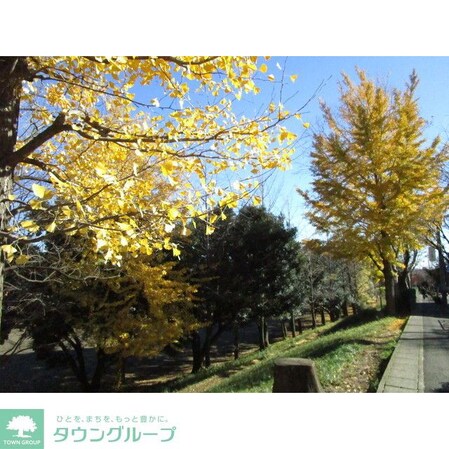 TheCenturyMiyazakidaiの物件内観写真